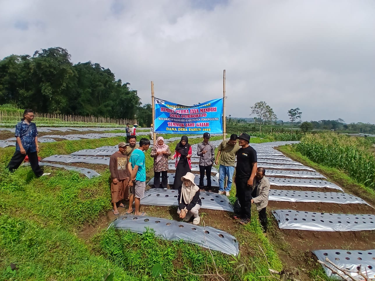 KETAHANAN PANGAN BUMDES PURBA JAYA MANDIRI